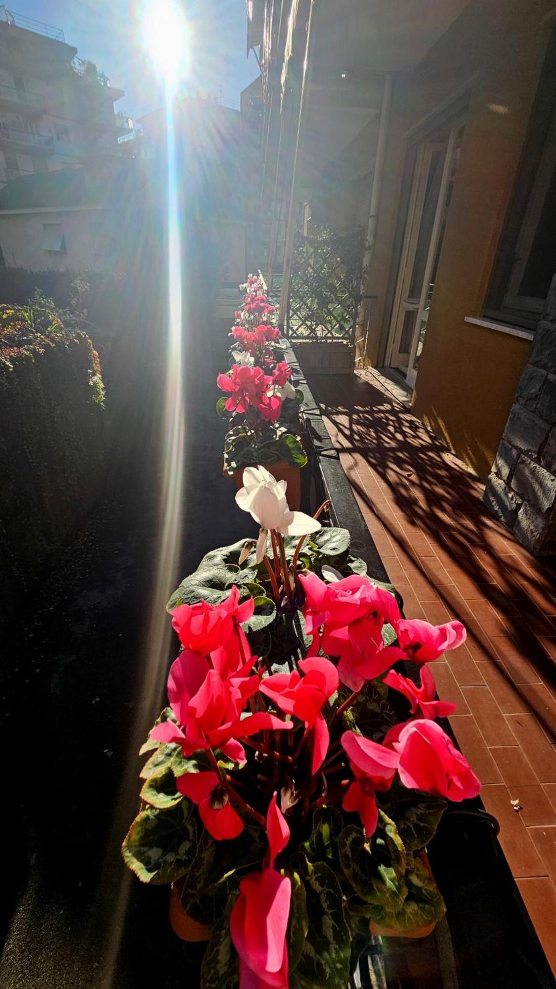 拉帕洛Casa Con Giardino Vicino Al Mare公寓 外观 照片